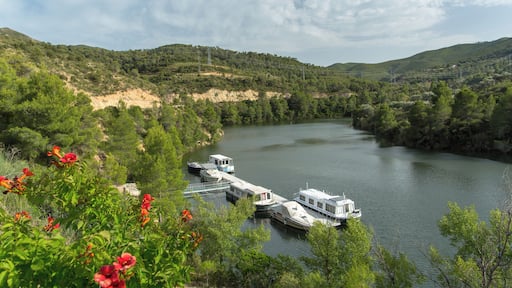 La communauté Cataluña posséde 4 provinces et 2 830 villes. La communauté Cataluña s'étend sur 31 950 km² et compte 7 565 603 habitants (recensement de 2012) pour une densité de 236,80 habitants par km². La capitale est Barcelone. Un habitant de la communauté Cataluña est appelé un Catalan. Le nom français de la communauté est Catalogne. La devise est "Sempre endavant mai morirem". La communauté Cataluña est autonome depuis 1979. Le site Internet de la communauté est www.gencat.cat The community has 4 provinces and 2,830 cities. The community of Cataluña covers 32,114 km² and has 7,565,603 inhabitants (2012 census) with a density of 235.59 inhabitants per km². The capital is Barcelona and the president of the autonomous community is Artur Mas i Gavarró. An inhabitant of the community of Cataluña is called a Catalan people. The English name is Catalonia. Die gemeinschaft Cataluña ist 4 provinzen und 2.830 städte. Die gemeinschaft Cataluña 32.114 deckt km² und Konto 7.565.603 Einwohner (Volkszählung von 2012) für eine Dichte von 235,59 Einwohner pro km². Die Hauptstadt ist Barcelona und die Präsident der Autonomen Gemeinschaft ist Artur Mas i Gavarró. Ein Kopf von der gemeinschaft Cataluña ist Catalan people genannt.. Der englische Name ist Catalonia. omunitate Cataluña detine 4 provinciile si 2.830 orase. Comunitate Cataluña se intinde pe o suprafata de 32.114 km² si numara 7.565.603 de locuitori (recensamantul din 2012) cu o densitate de 235,59 pe km². Capitala este Barcelona si Preşedinte al Comunităţii autonome este Artur Mas i Gavarró. Un locuitor al Comunitate Cataluña se numeste Catalan people. Numele englez este Catalonia.