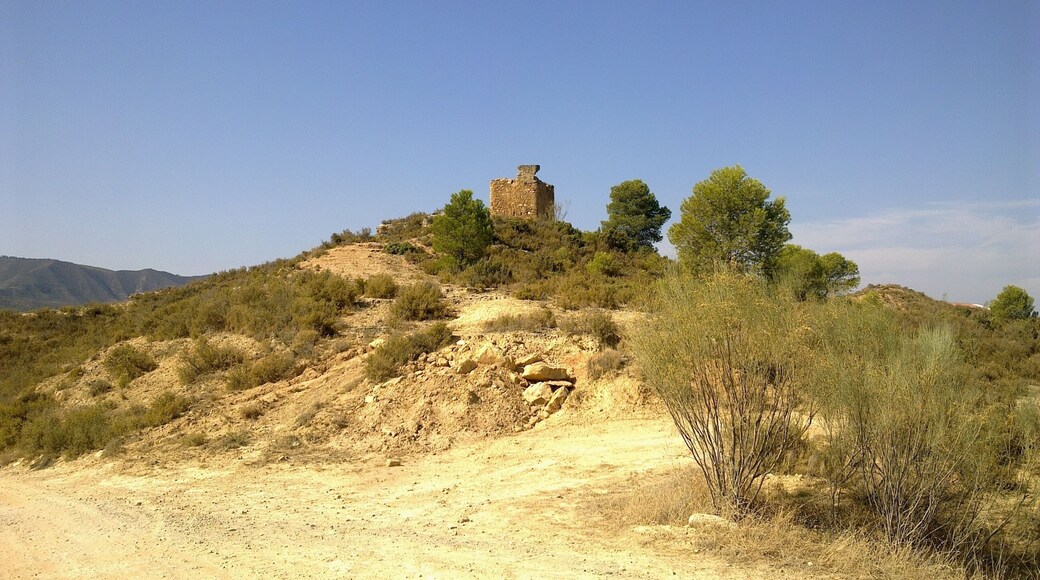 La Garita, torre de vigilància sobre el riu Ebre, a Riba-roja d'Ebre (Ribera d'Ebre)