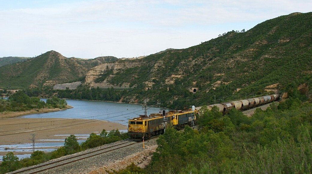 La 019 i la 049 arroseguen el cerealer Martorell -> Can Franc al seu pas per Faió. La 019 y la 049 arrastran el cerealero Martorell -> Can Franc a su paso por Fayón.