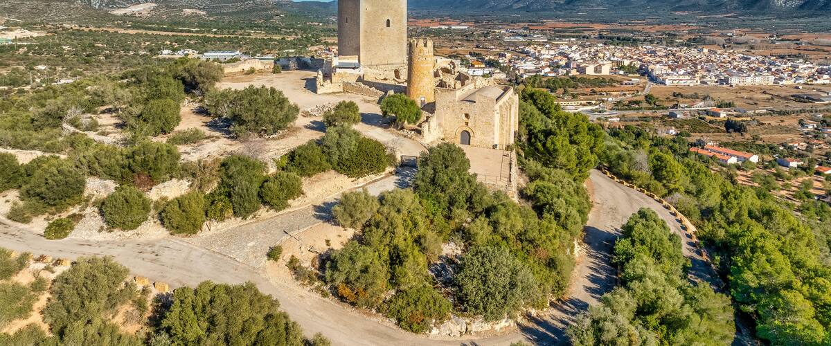 A historic tower surrounded by a town and mountains.