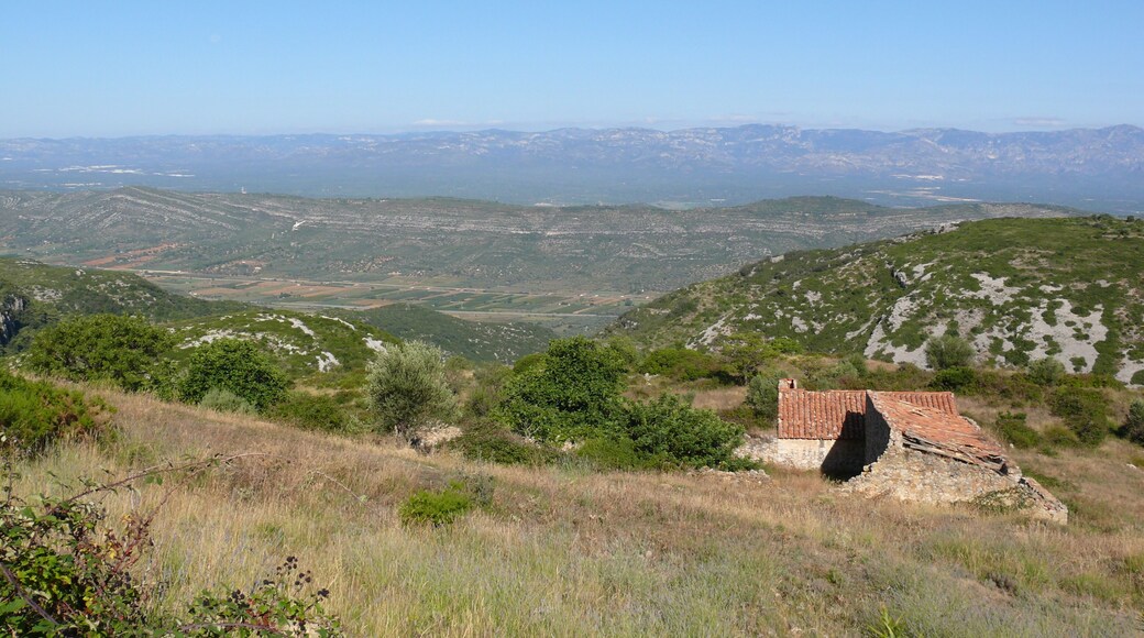 Mas del Comú (Ulldecona)