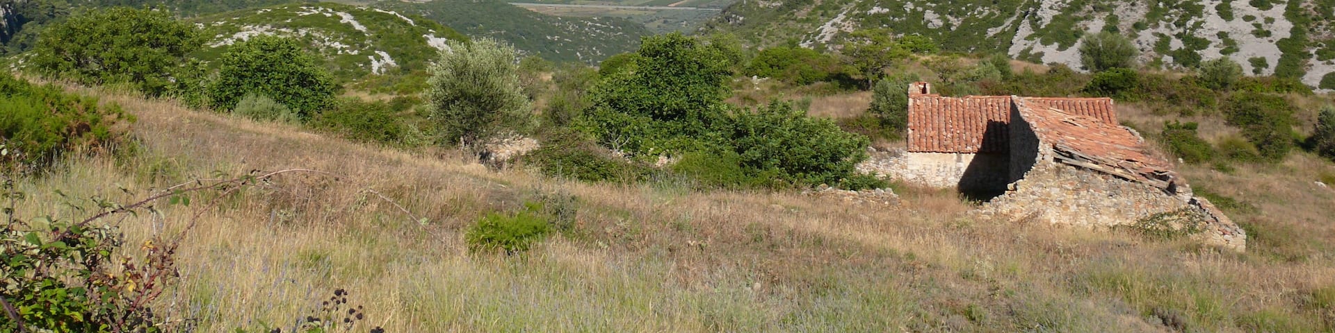 Mas del ComĂș (Ulldecona)