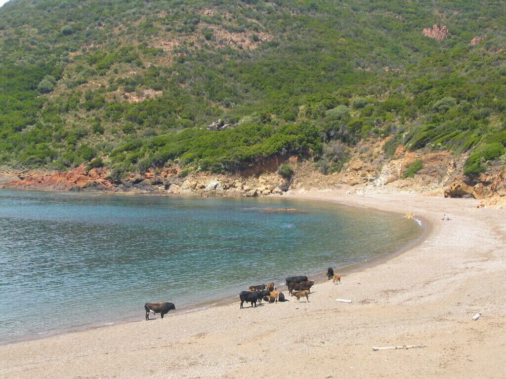 Corse island is magnificent, a unforgettable destination