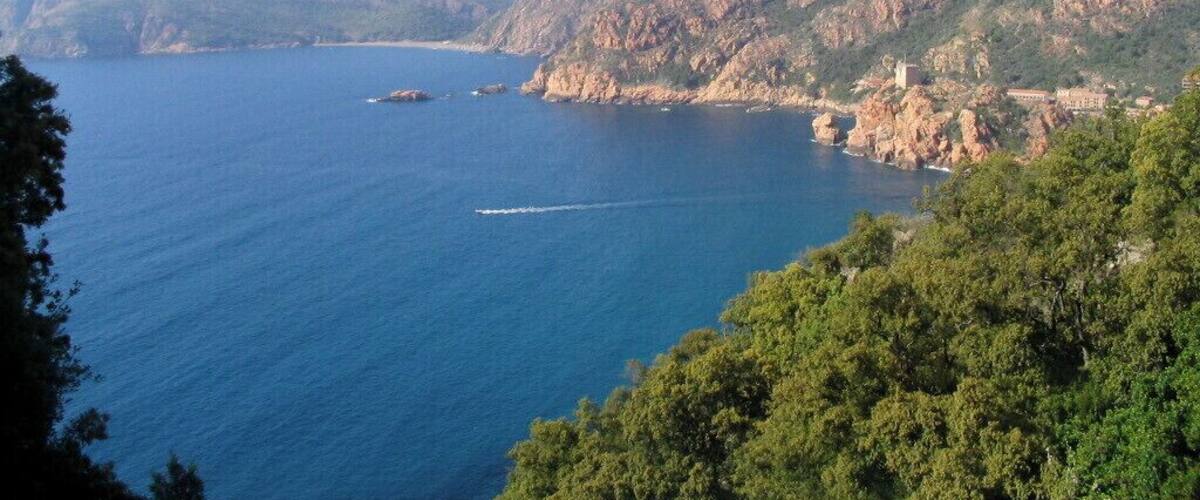 amazing spot