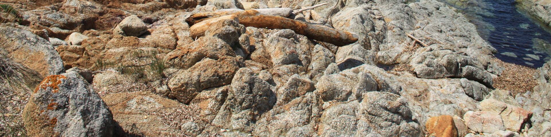 A rocky shoreline with clear blue water and distant mountains.