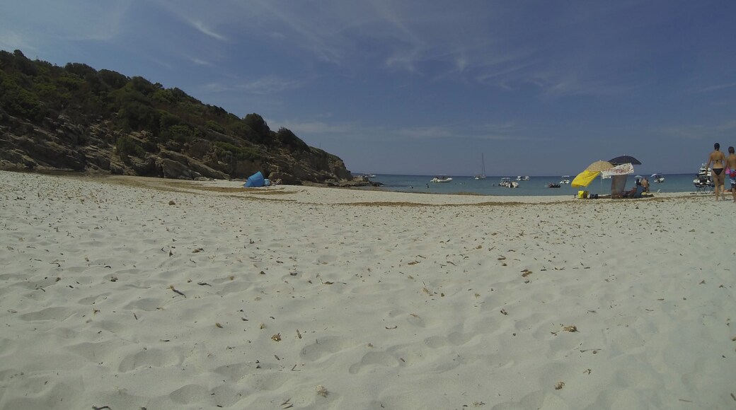 Plage de Ghignu, Agriates