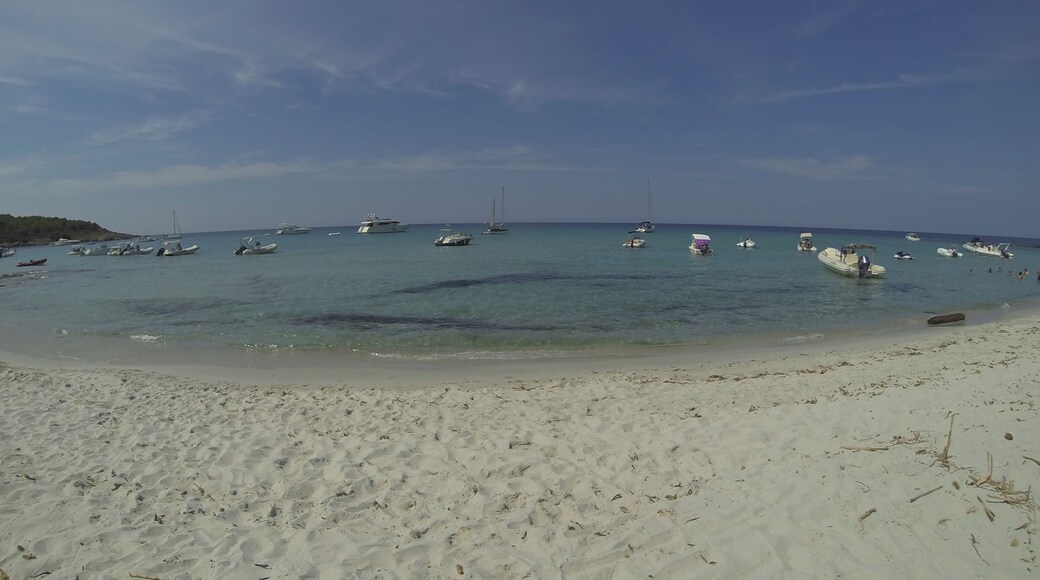 Plage de Ghignu, Agriates
