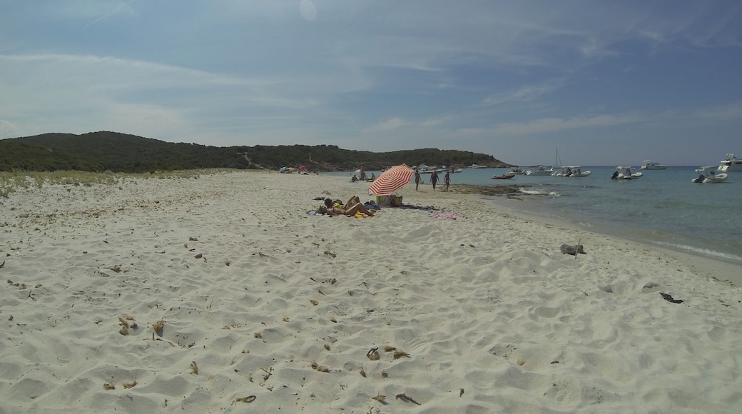 Plage de Ghignu, Agriates