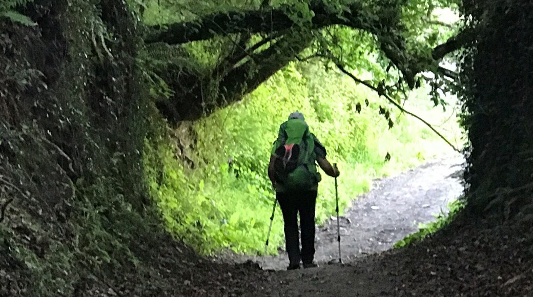 The Camino
@iphoneablefoto