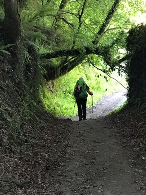 The Camino 
@iphoneablefoto