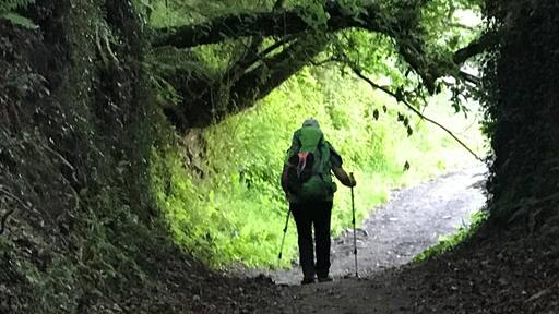 The Camino
@iphoneablefoto