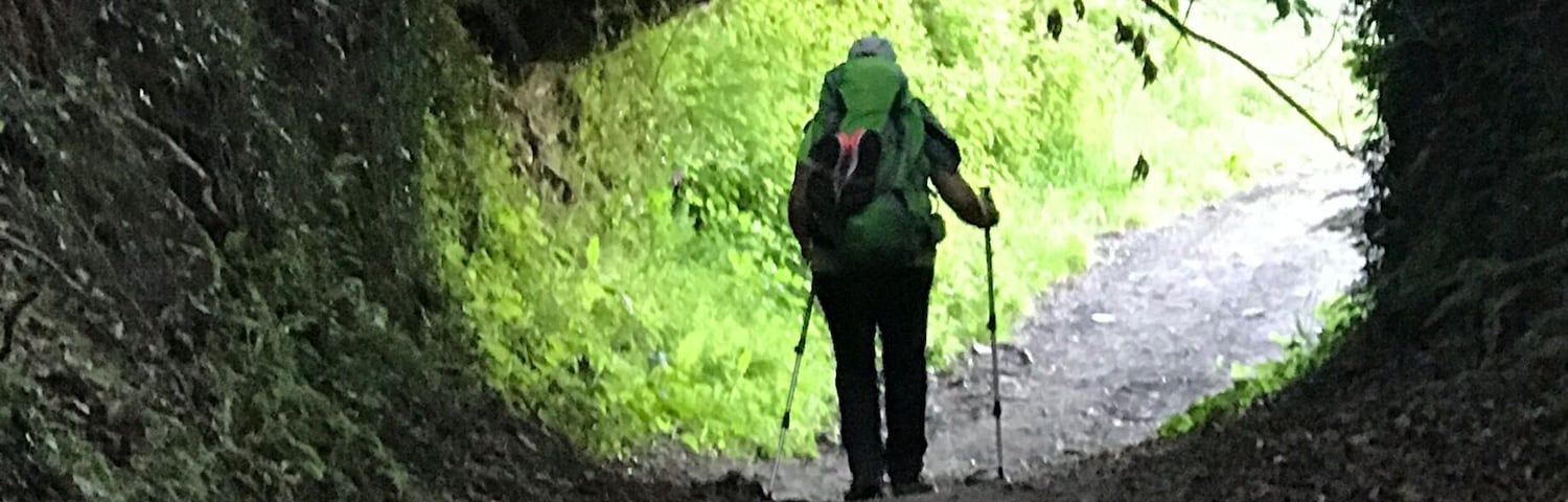 A hiker with a backpack and walking poles on a forest path.