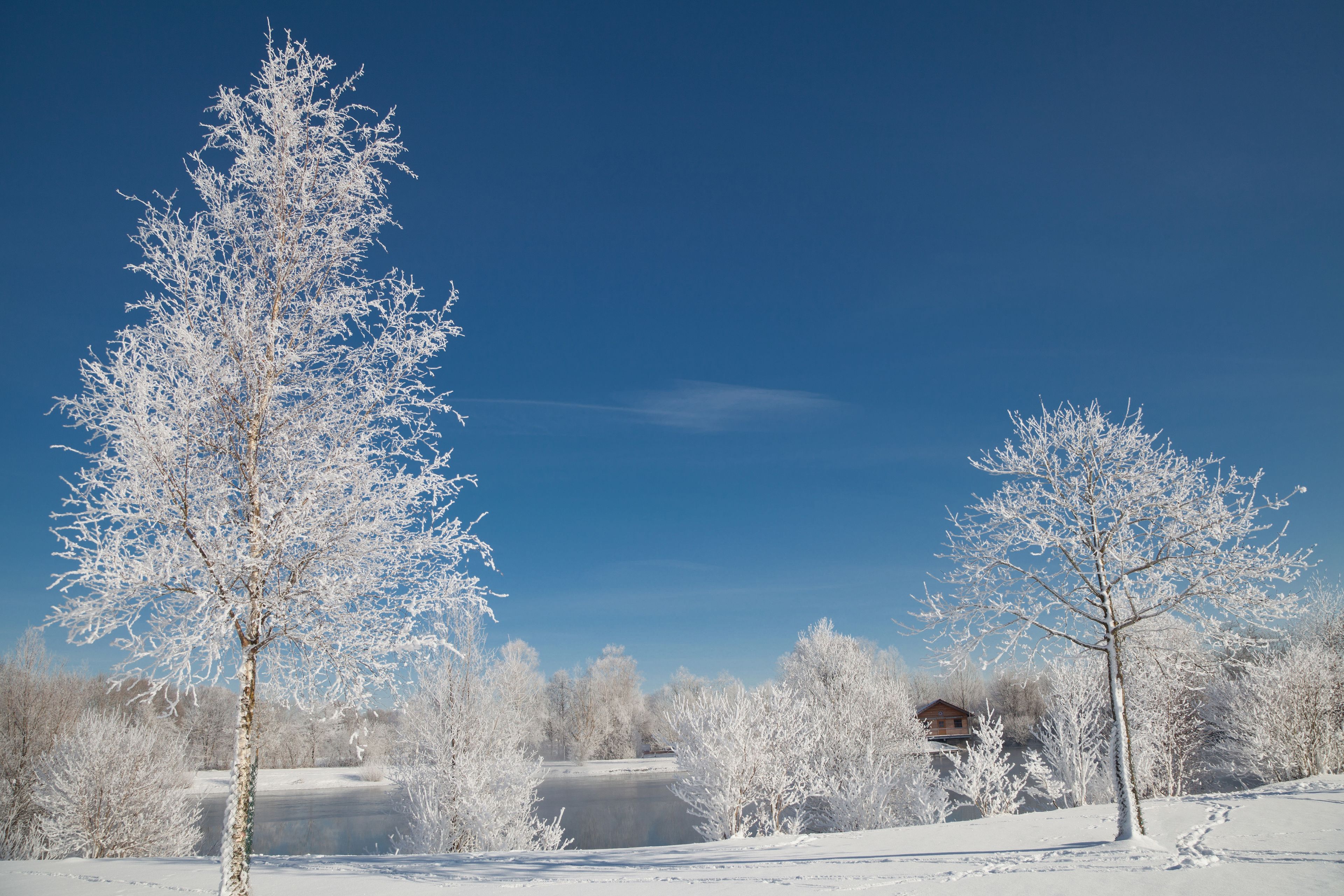 A snowy landscape with frosted trees and a clear blue sky.