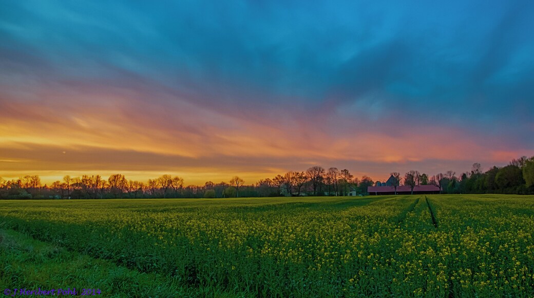 Eichenau, Oberbayern, Abendstimmung.