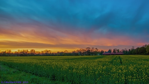 Eichenau, Oberbayern, Abendstimmung.