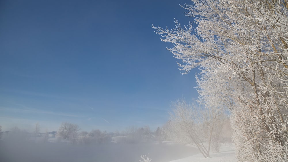 Schneebedeckte Landschaft mit rimebedeckten Bäumen und blauem Himmel.