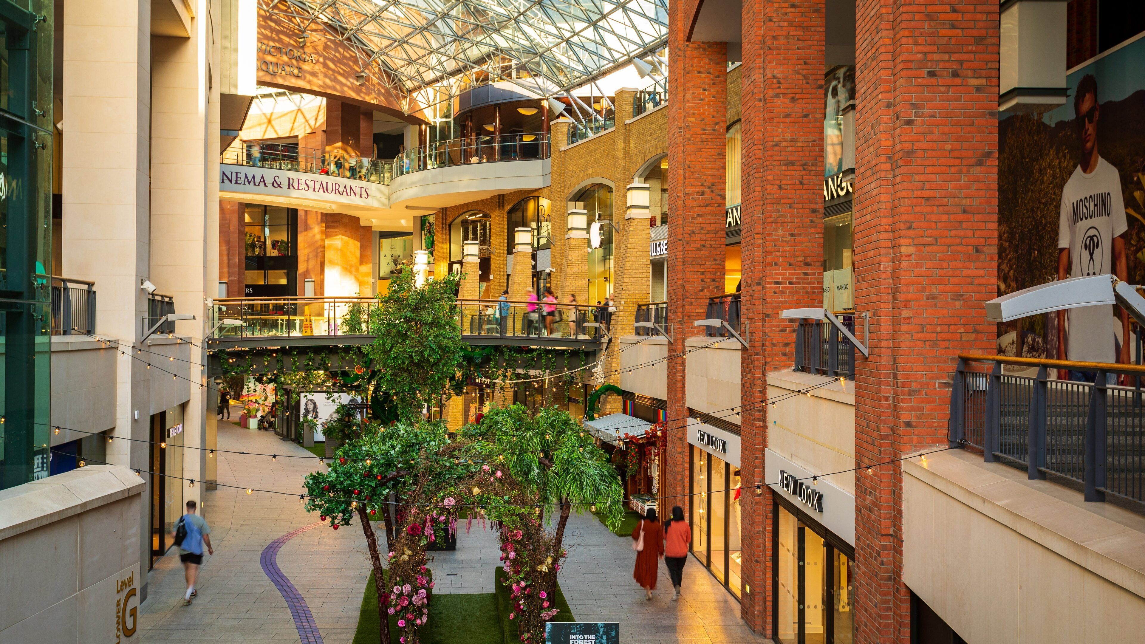 Victoria Square Shopping Centre showing shopping and interior views