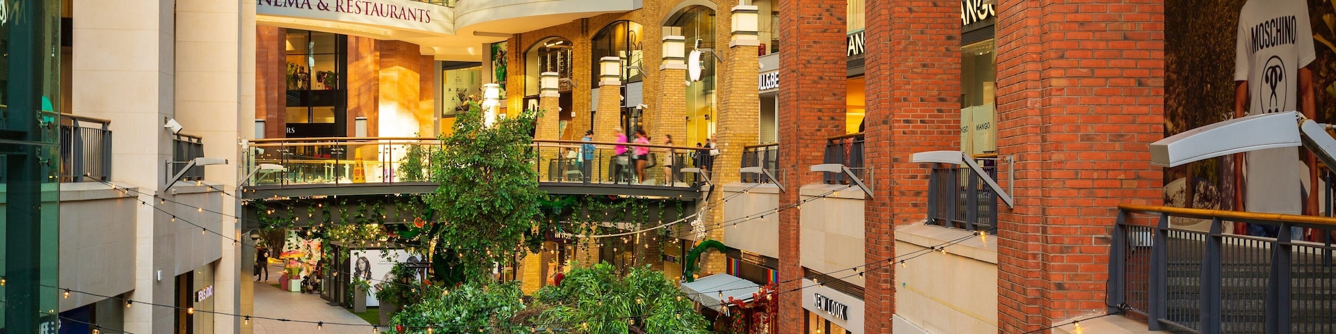 Victoria Square Shopping Centre showing shopping and interior views
