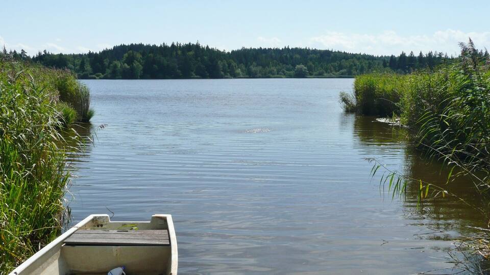A calm lake with a small boat docked at the shore, surrounded by dense reeds and a forested hill in the background.