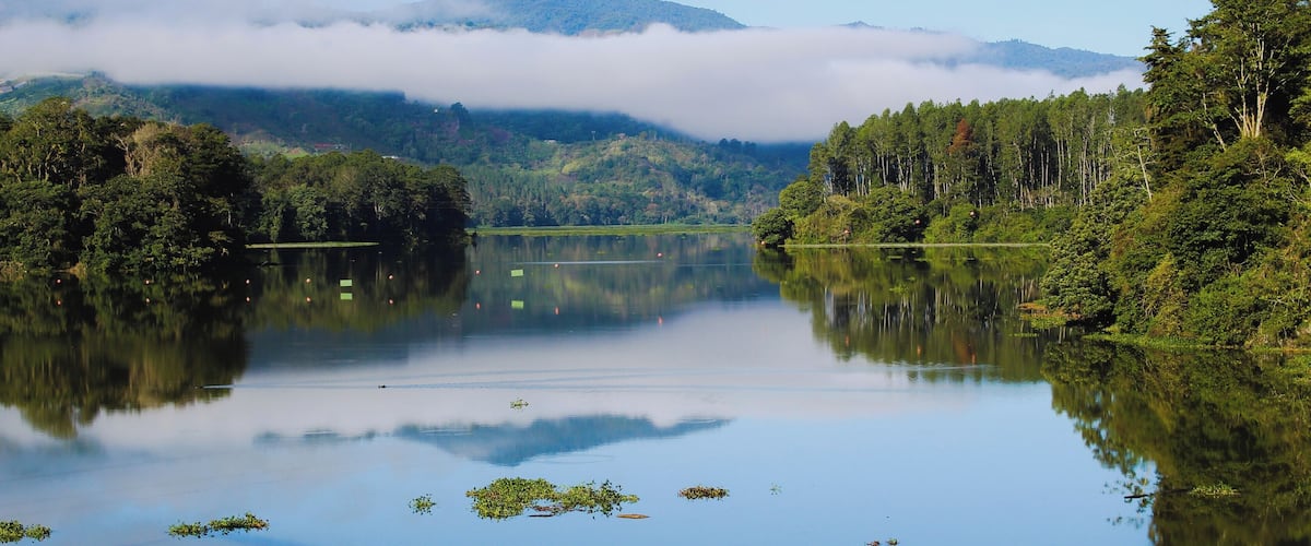 A calm lake surrounded by dense forest and mountains, with a mist-covered peak in the background.