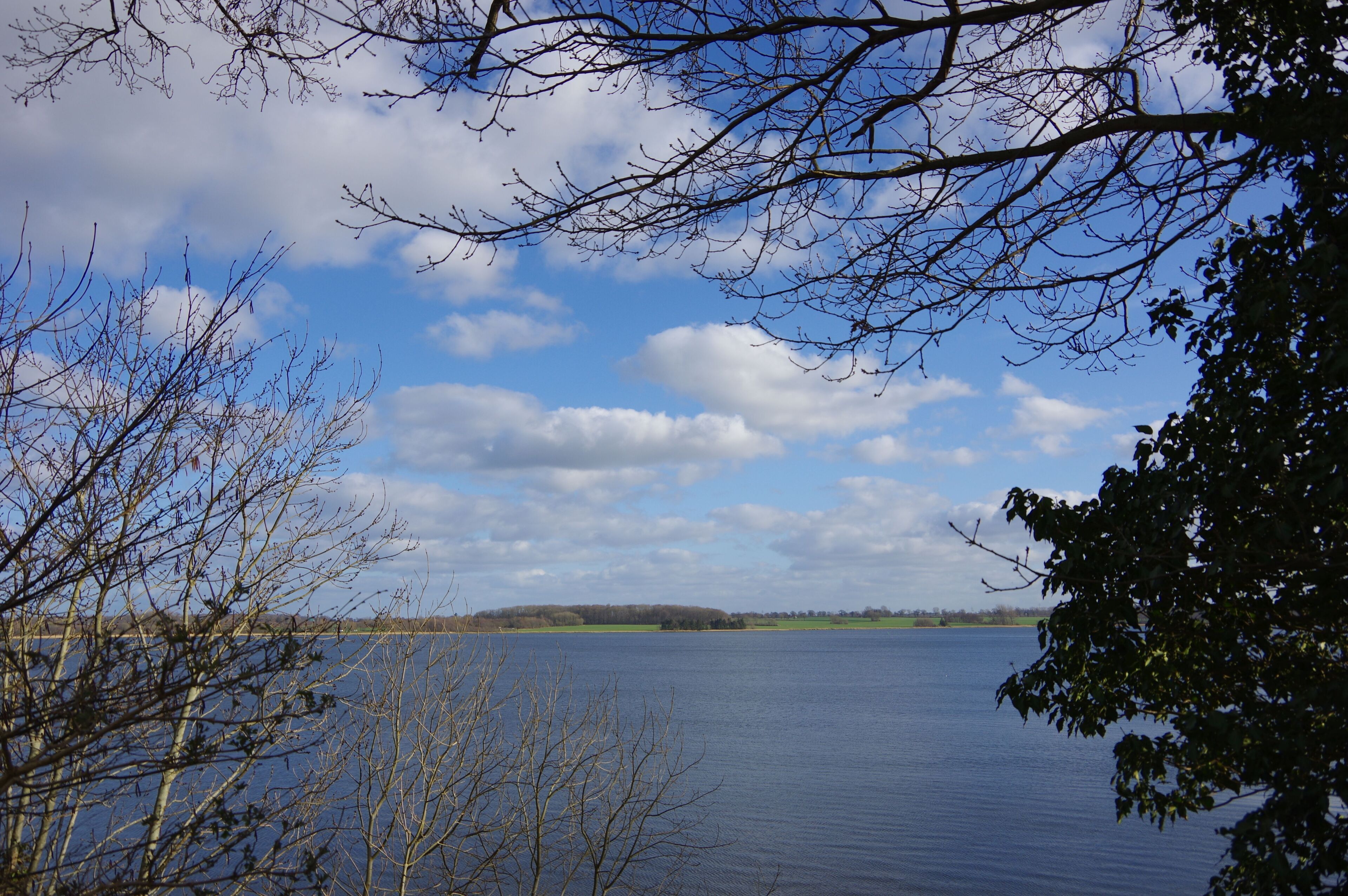 A calm lake with tree branches in the foreground and a distant shoreline under a partly cloudy sky.