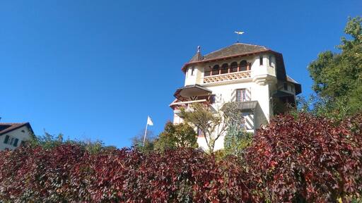 Villa Kraus in Walchstadt