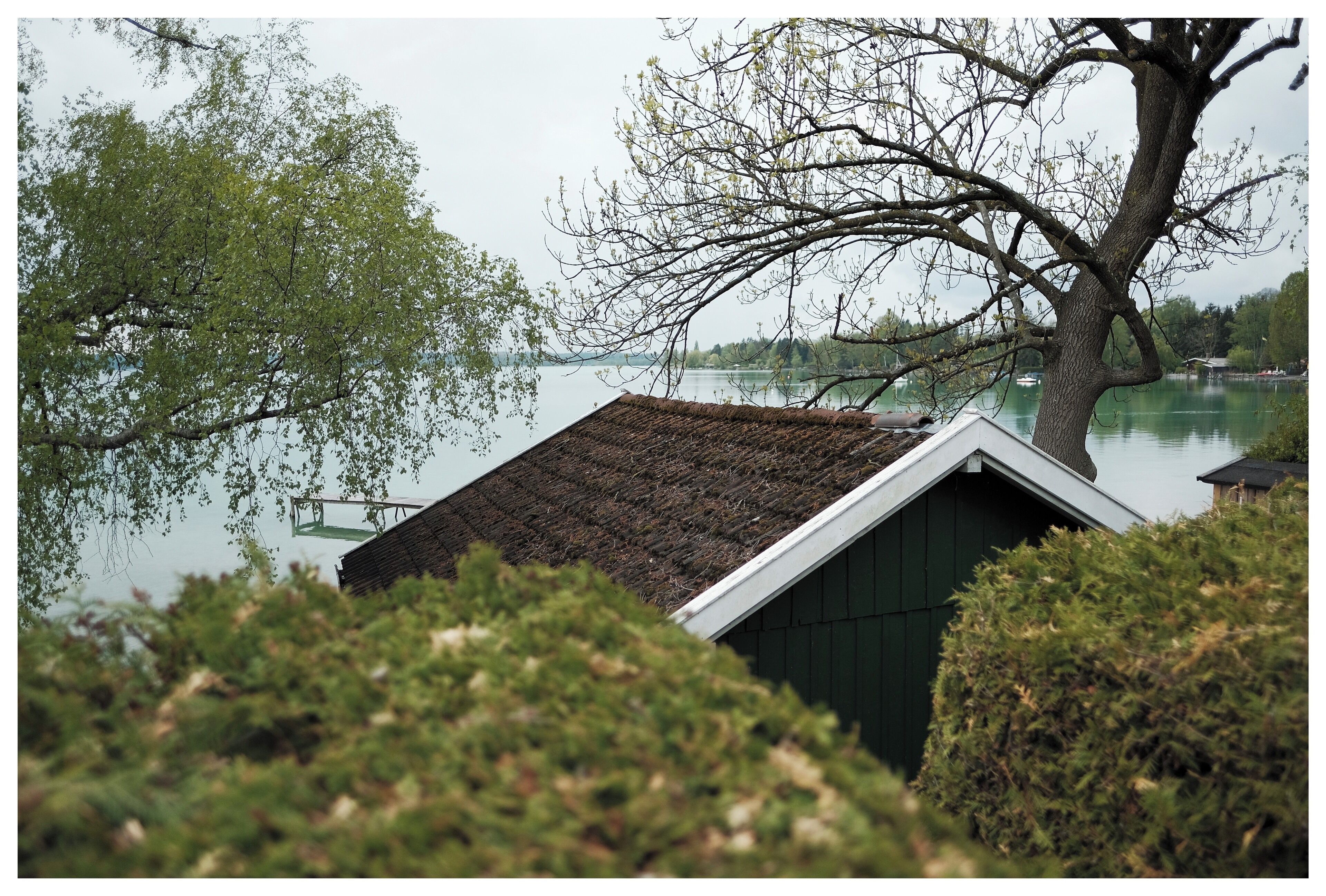 Exploring the new neighborhood. There are so many hidden treasures to discover. Absolutely loving it.