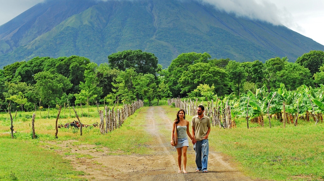 Đảo Ometepe cho thấy những ngọn núi, trang trại và đi bộ