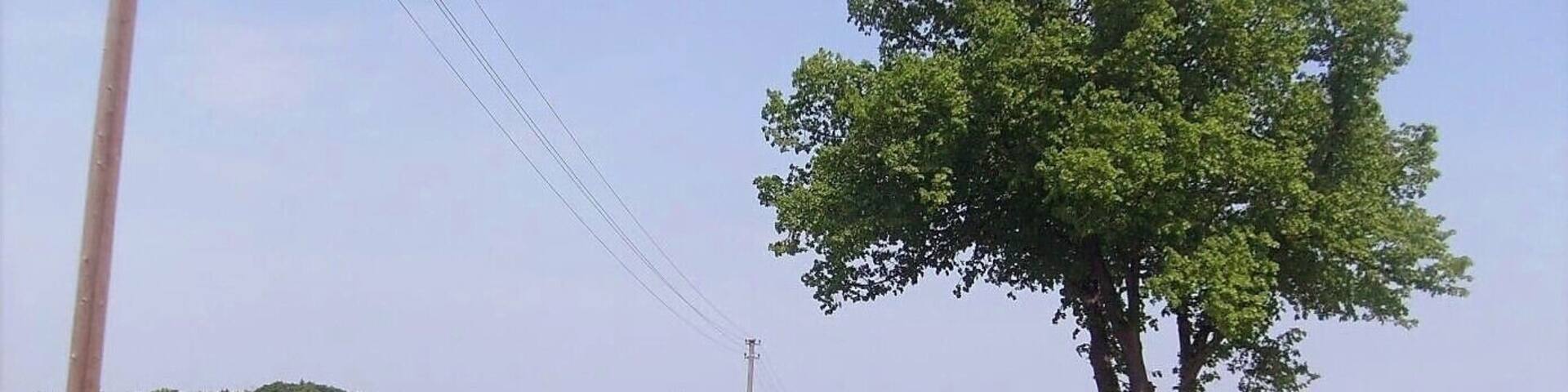 Drössling _ 15.05.2008