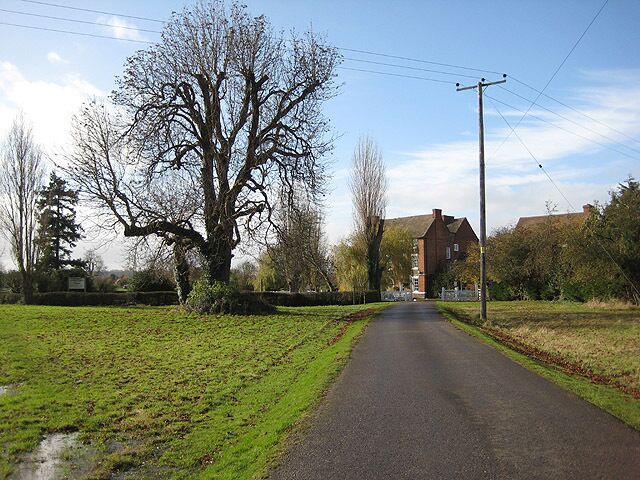 A rural road flanked by trees and a brick house.