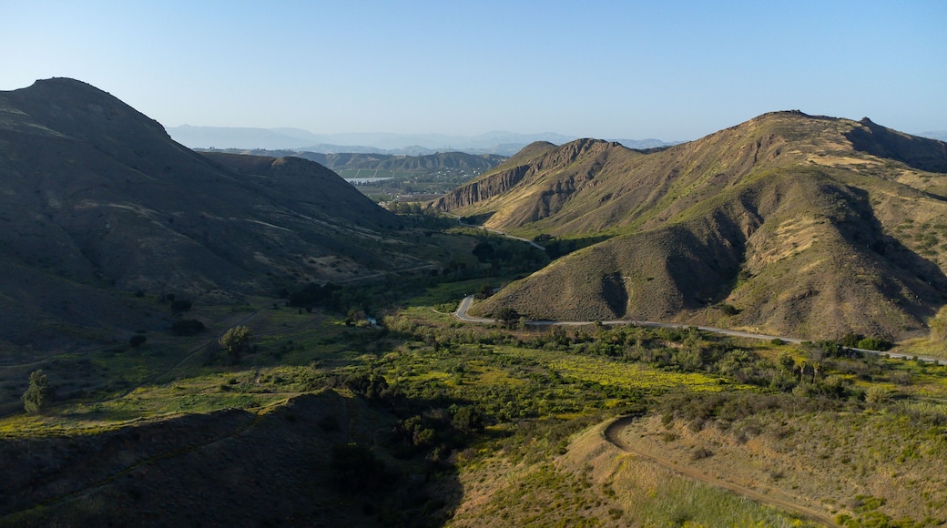 มัวร์พาร์ค