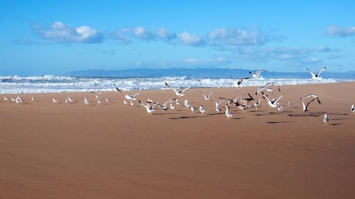 ๊ณผ๋ฌ๋ฃจํ