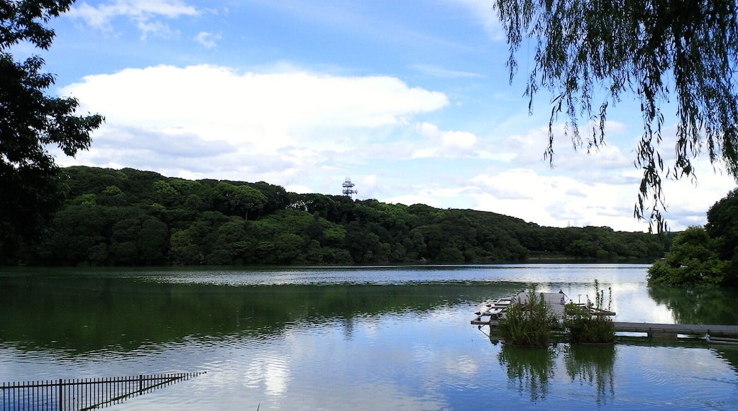 Yamada ike (Pond), Hirakata, Osaka, Japan
