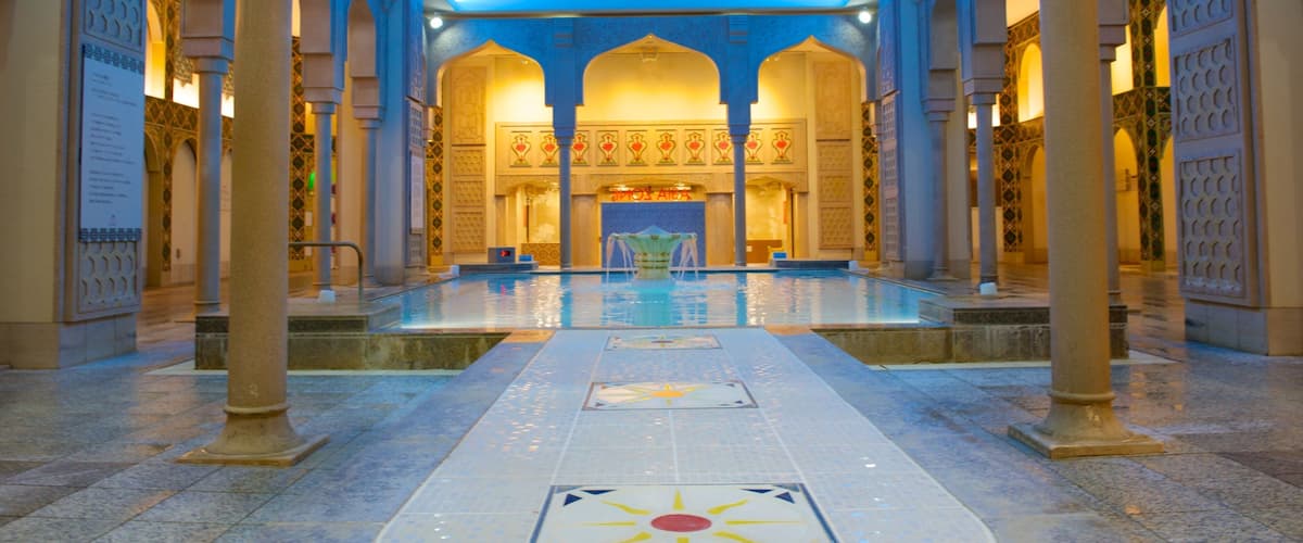 Spa World featuring a pool, interior views and a day spa