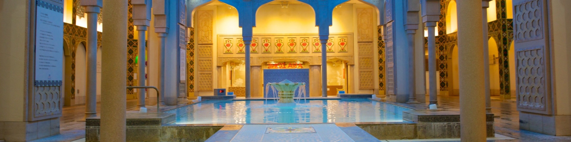 Spa World featuring a pool, interior views and a day spa