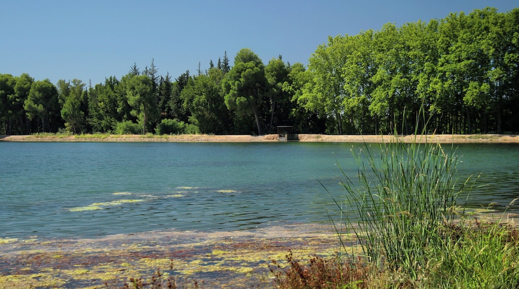 Sant Llorenç de Montgai (Lleida, Spain)