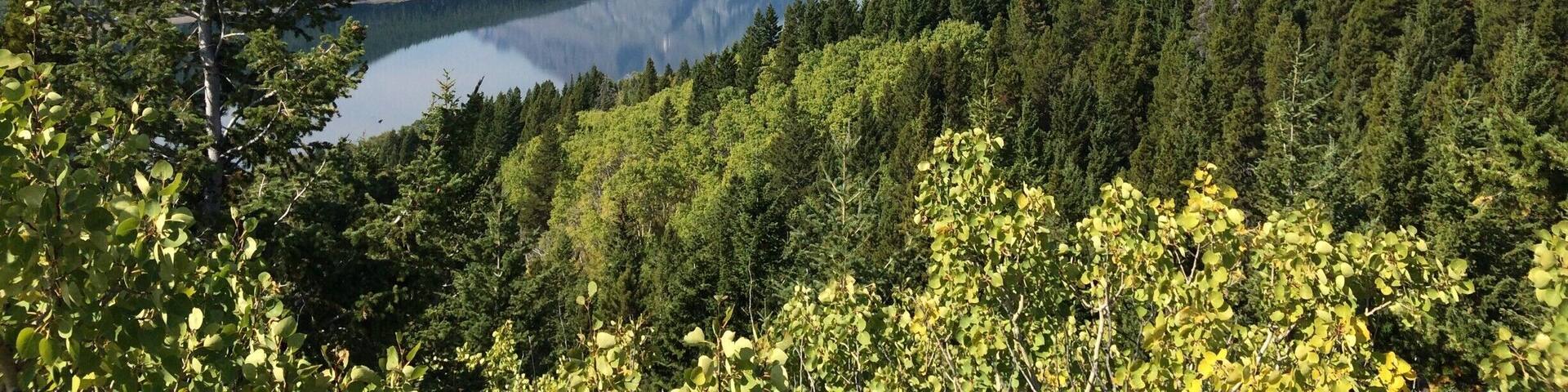 Camped near here while staying in Glacier.