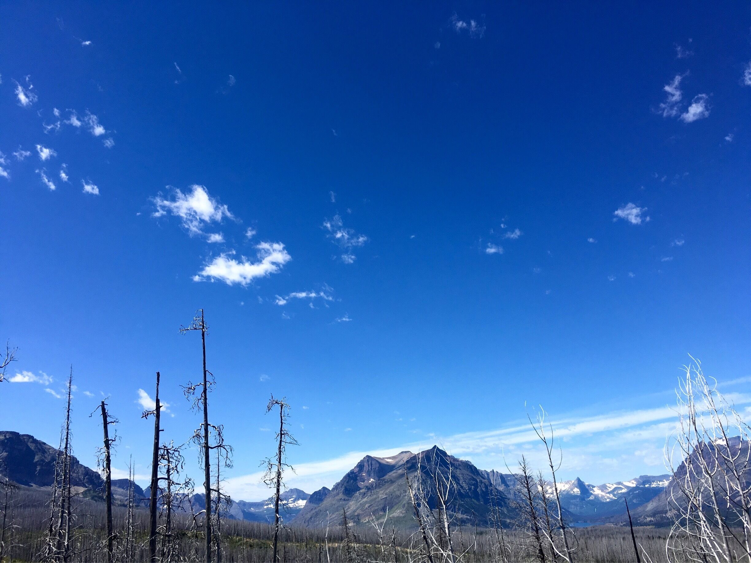 Driving through Montana... #roadtrip