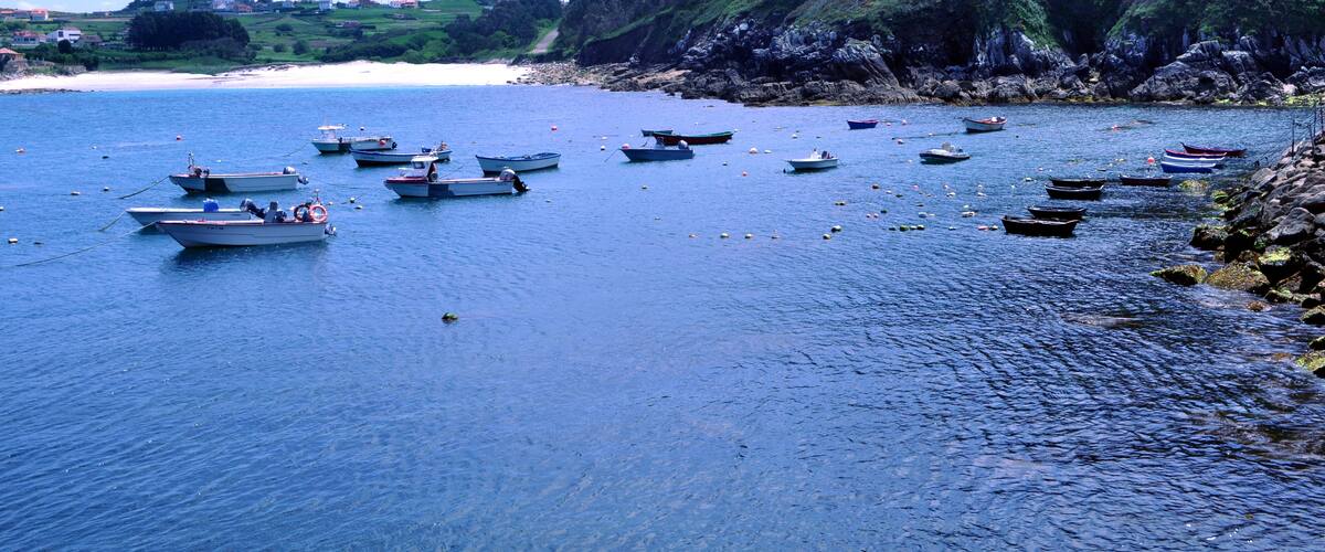 A coastal scene with numerous small boats anchored in calm waters, surrounded by rocky cliffs and a distant shoreline with buildings.