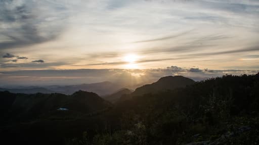 Guayama