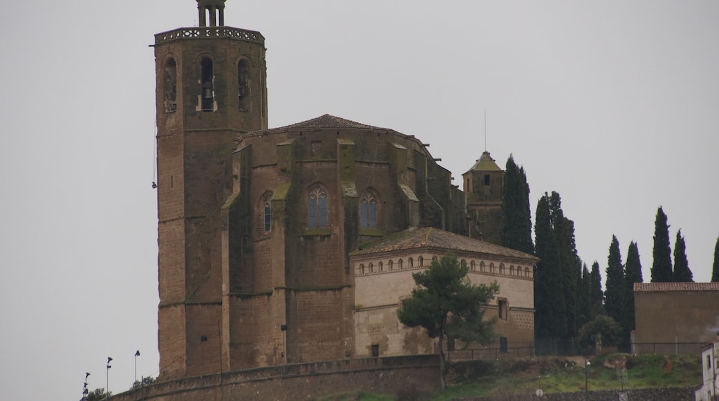 Església de Santa Maria (Balaguer)