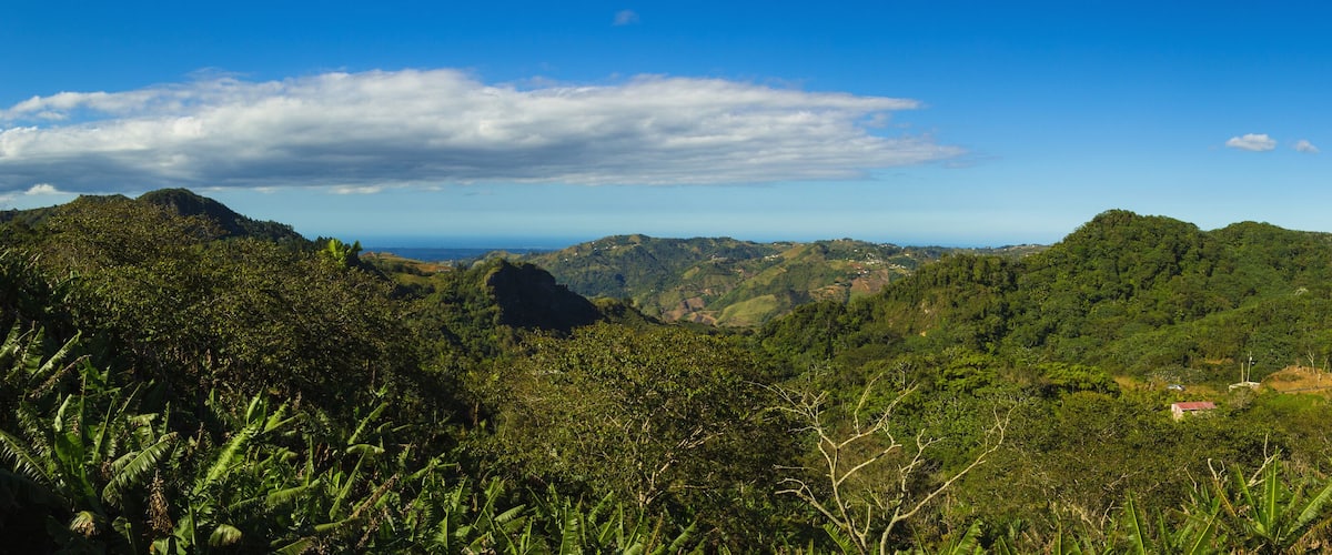 A lush green landscape with rolling hills and a clear blue sky.