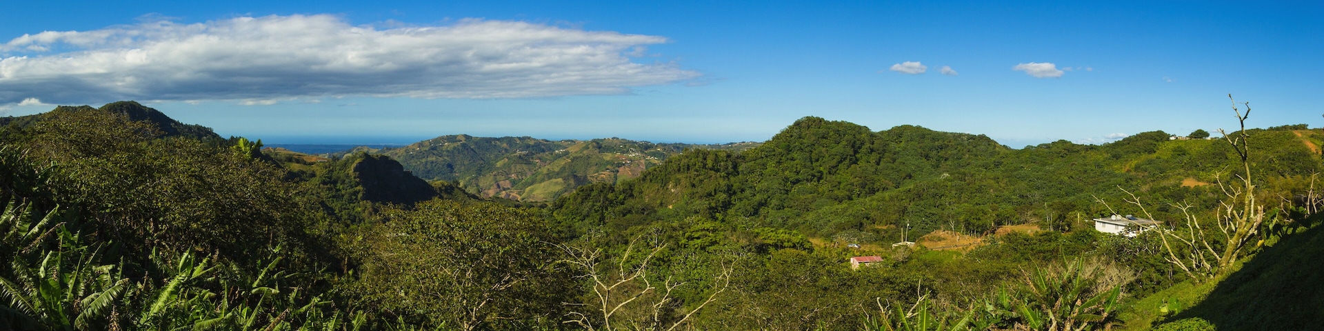 A lush green landscape with rolling hills and a clear blue sky.