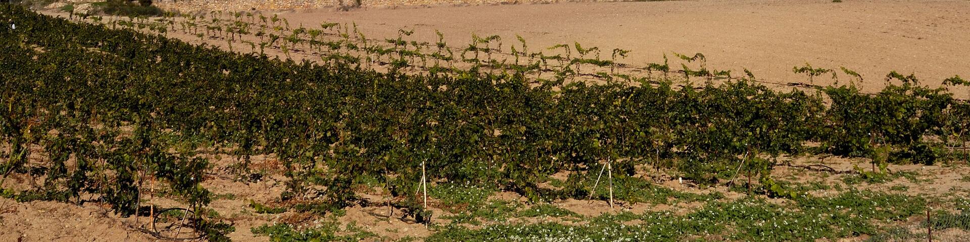 Monastery of Santa Maria de Bellpuig de les Avellanes, Os de Balaguer,Lleida province, Spain