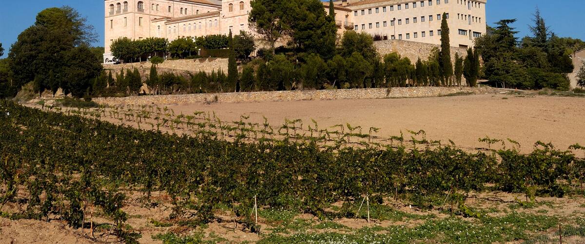 A large historic building with a tower, surrounded by vineyards and trees.