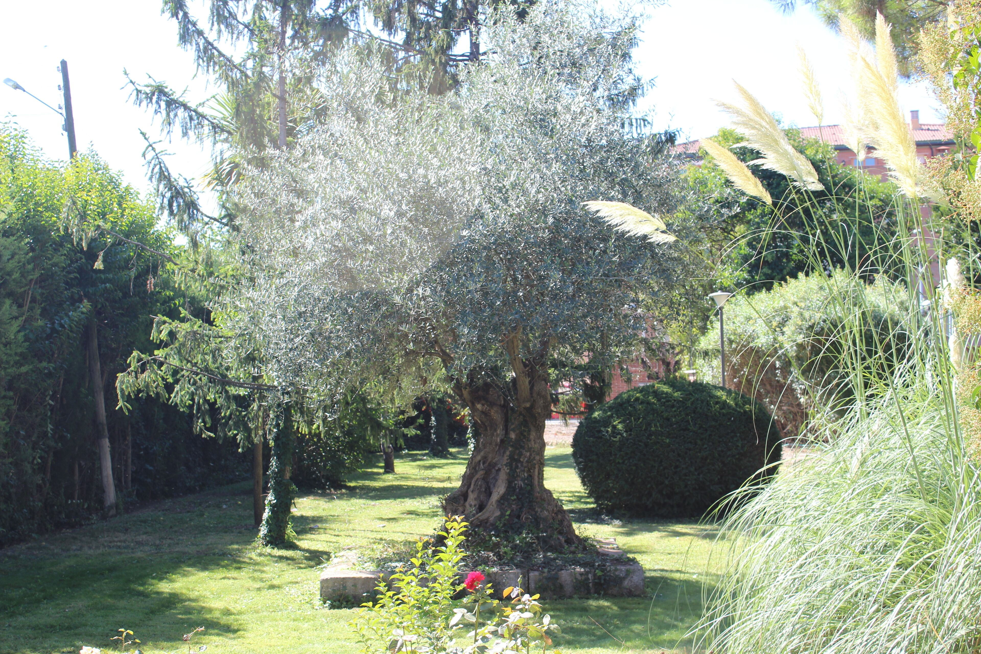 Torre Culleré (Mollerussa)