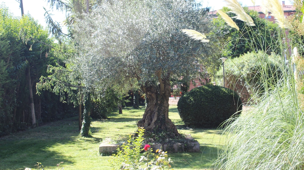 Torre Culleré (Mollerussa)