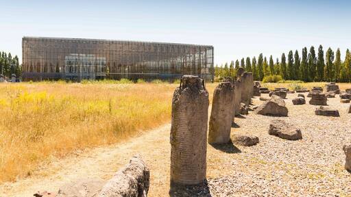 The akademy of Mont Cenis