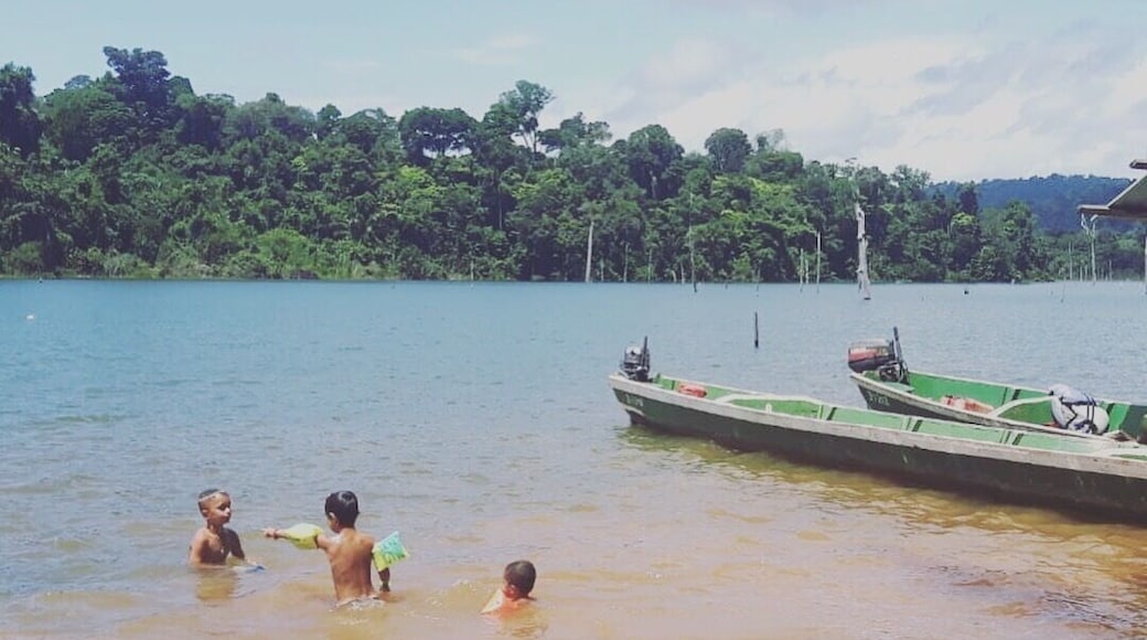 Nice place to stay overnight in a hammock