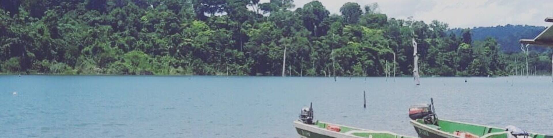 Nice place to stay overnight in a hammock